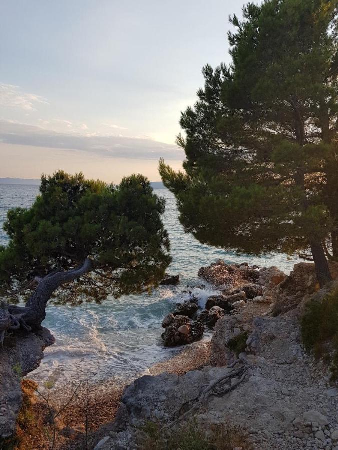 Ruzica Makarska